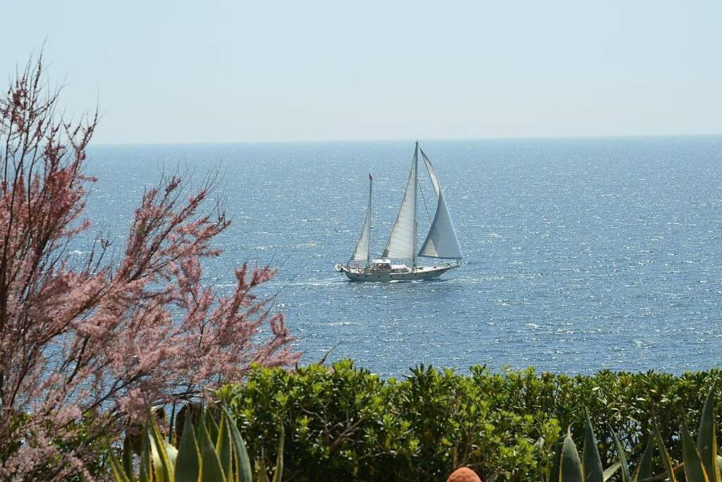 Villa Vallgornera PMI Dış mekan fotoğraf